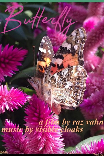 Locandina di Butterfly