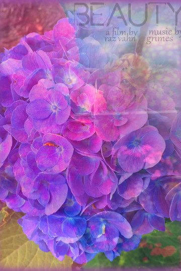 Locandina di BEAUTY