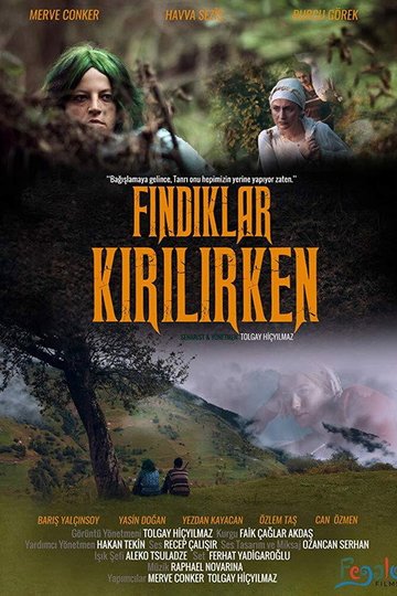 Locandina di Fındıklar Kırılırken