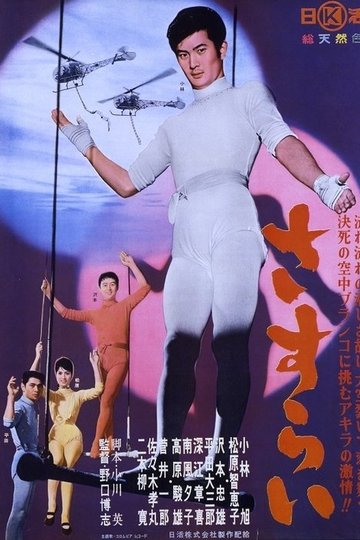 Locandina di さすらい