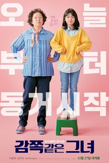 Locandina di 감쪽같은 그녀