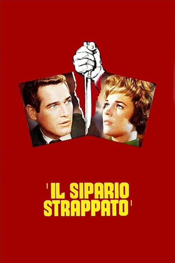 Locandina di Il sipario strappato