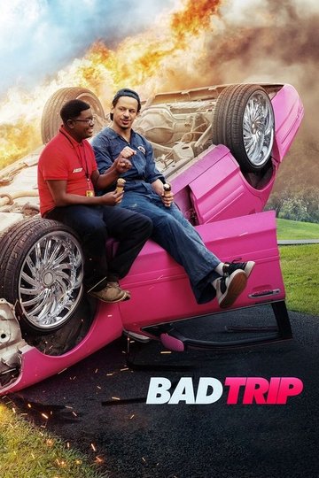 Locandina di Bad Trip
