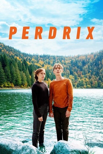Locandina di Perdrix