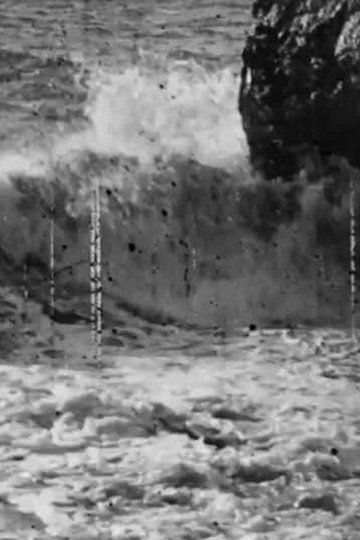 Locandina di Waves Breaking