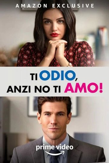 Locandina di Ti odio, anzi no, ti amo!