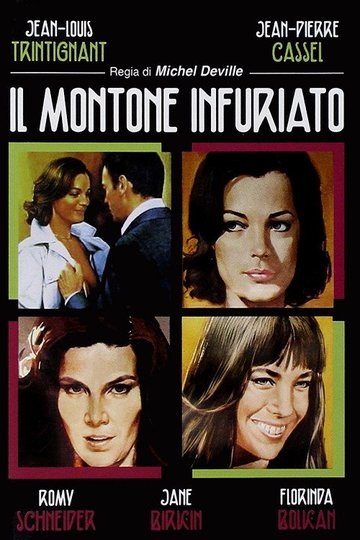 Locandina di Il montone infuriato