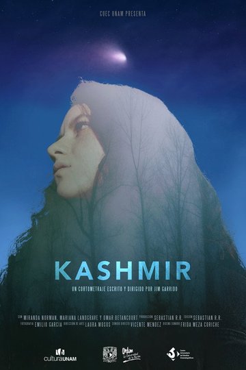 Locandina di Kashmir