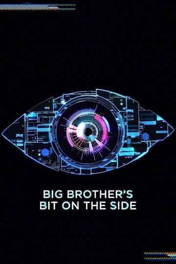 Locandina di Big Brother's Bit on the Side