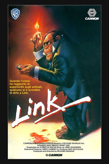 Locandina di Link