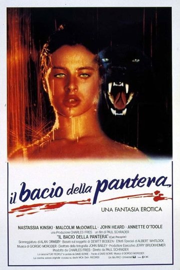 Locandina di Il bacio della pantera