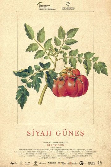 Locandina di Siyah Güneş