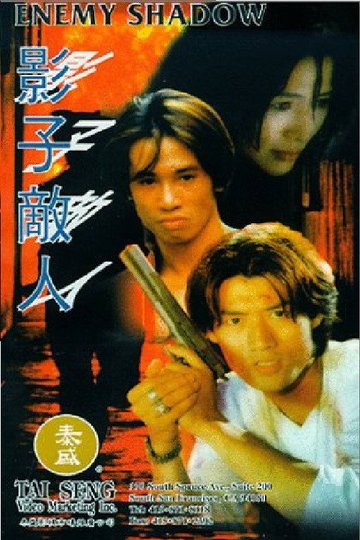 Locandina di 影子敌人
