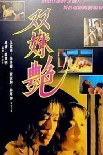 Locandina di 雙姝艷