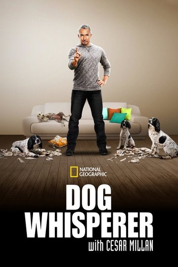 Locandina di Uno psicologo da cani - Dog Whisperer