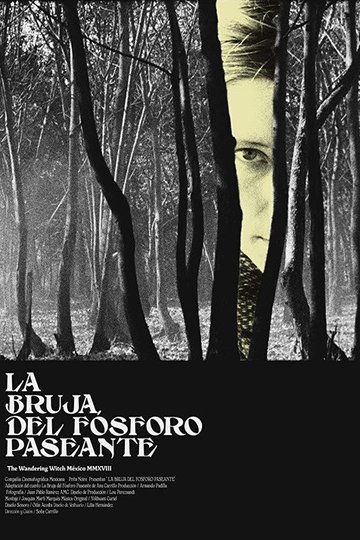 Locandina di La bruja del fósforo paseante