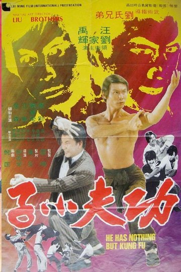Locandina di 功夫小子