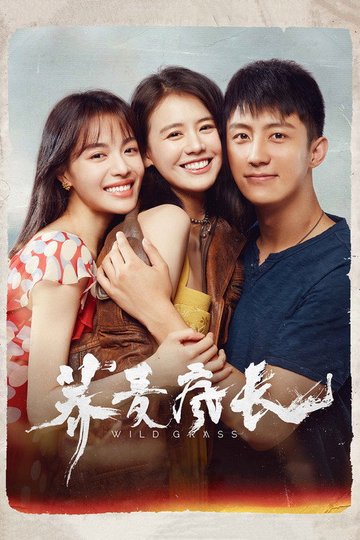 Locandina di 荞麦疯长