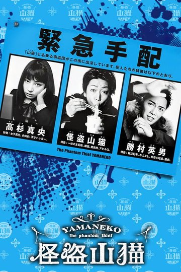 Locandina di 怪盗 山猫