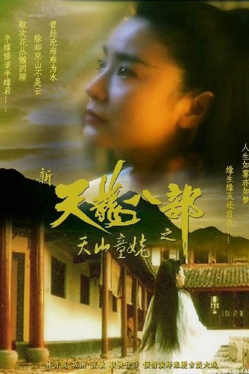 Locandina di 新天龍八部之天山童姥