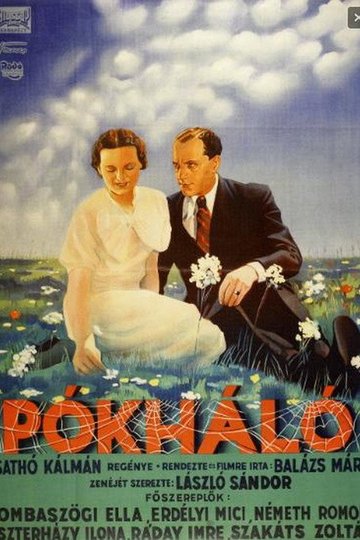 Locandina di Pókháló