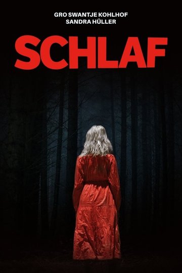 Locandina di Schlaf