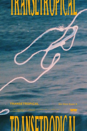 Locandina di Transetropical