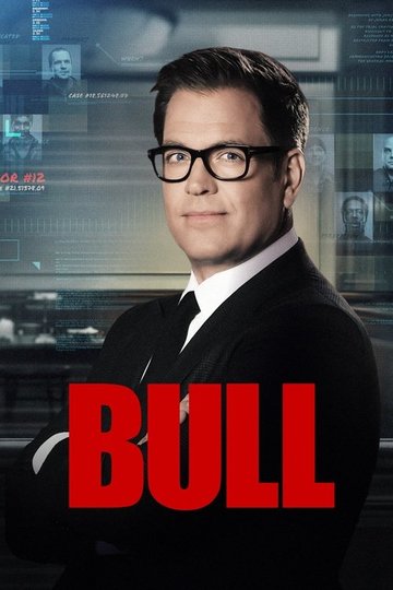Locandina di Bull