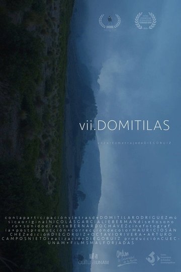 Locandina di VII Domitilas