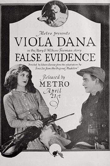 Locandina di False Evidence