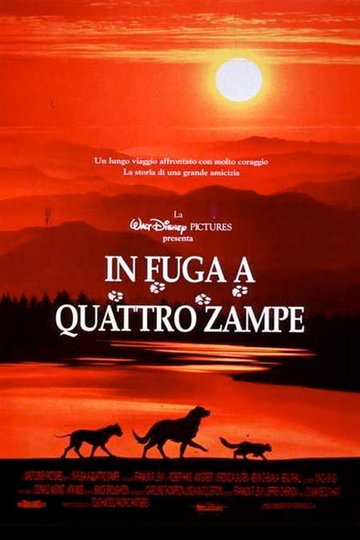 Locandina di In fuga a quattro zampe