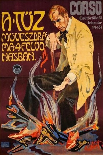 Locandina di A tűz