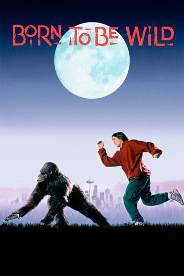 Locandina di Una gorilla per amica