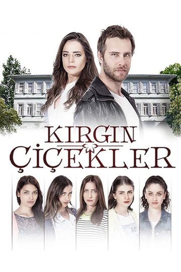 Locandina di Kırgın Çiçekler