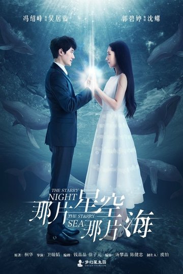 Locandina di 那片星空那片海