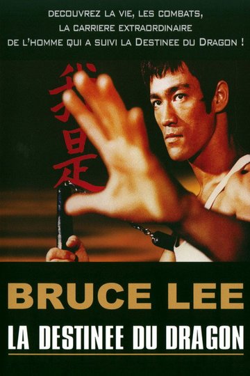 Locandina di Bruce Lee - La Destinée du Dragon