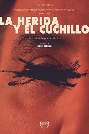 Locandina di La herida y el cuchillo (Notas para un film sobre García Wehbi)