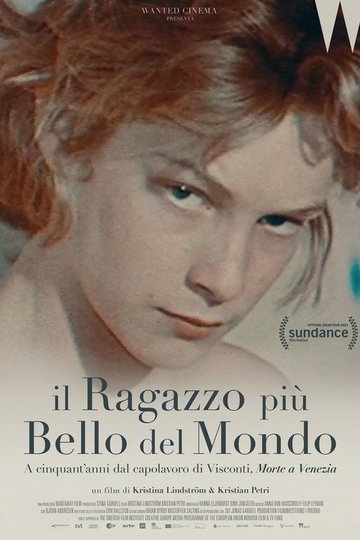 Locandina di Il ragazzo più bello del mondo