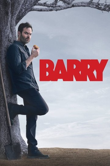 Locandina di Barry