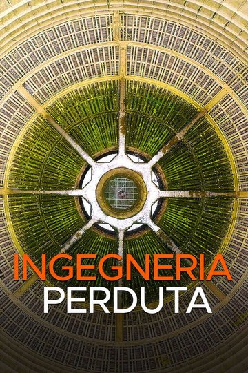 Locandina di Ingegneria perduta