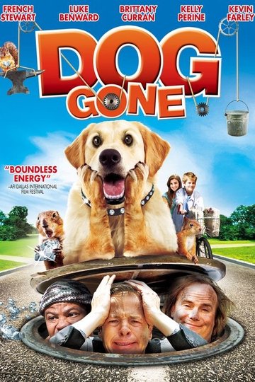 Locandina di Diamond Dog - Un tesoro di cane