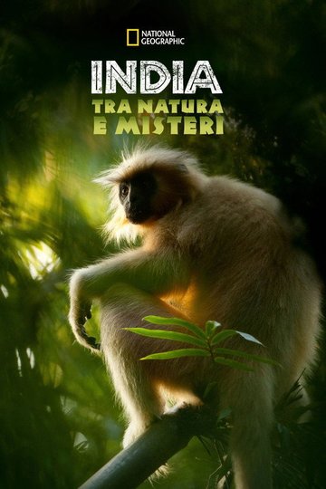 Locandina di Secrets of Wild India