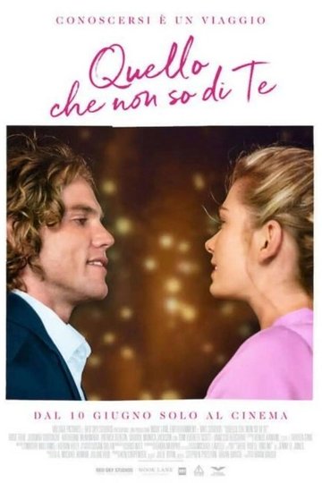 Locandina di Quello che non so di te