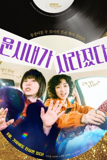 Locandina di 윤시내가 사라졌다