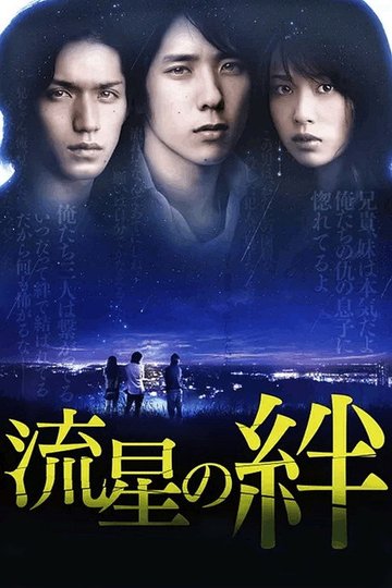 Locandina di 流星の絆