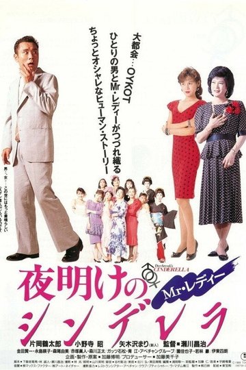 Locandina di Mr.レディー 夜明けのシンデレラ