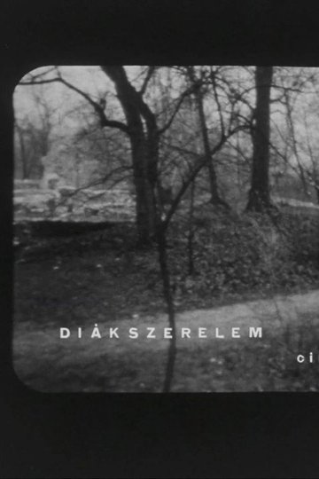 Locandina di Diákszerelem