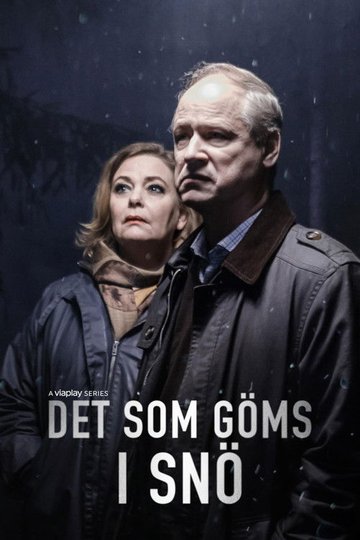Locandina di Det som göms i snö