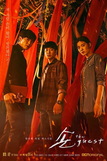 Locandina di 손: The Guest