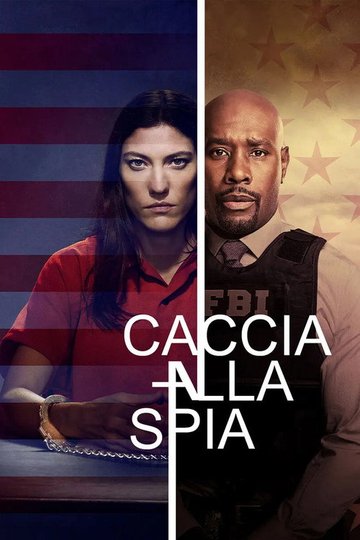 Locandina di Caccia Alla Spia